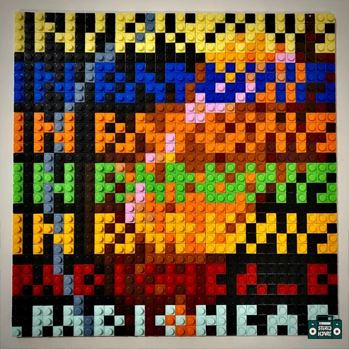 Weird Fishes Buildable Brick Art